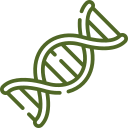 “-Mış gibi” Yapanlara Hayır!